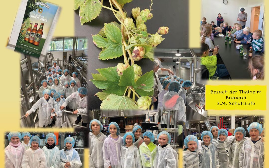 Bil­der Herbst 2022